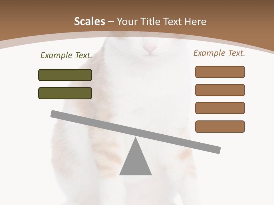 Fur Isolated Cat PowerPoint Template