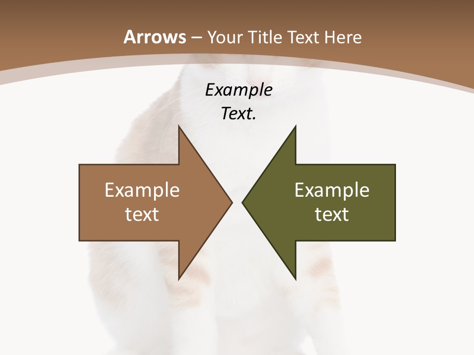 Fur Isolated Cat PowerPoint Template