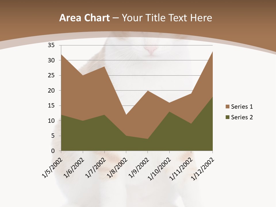 Fur Isolated Cat PowerPoint Template