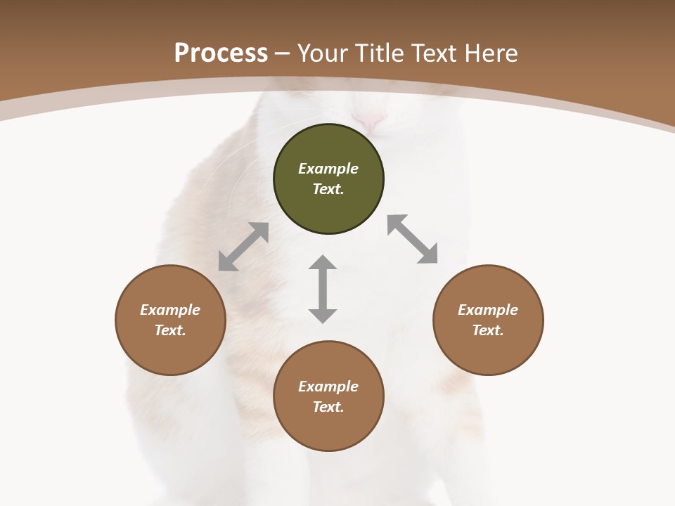 Fur Isolated Cat PowerPoint Template