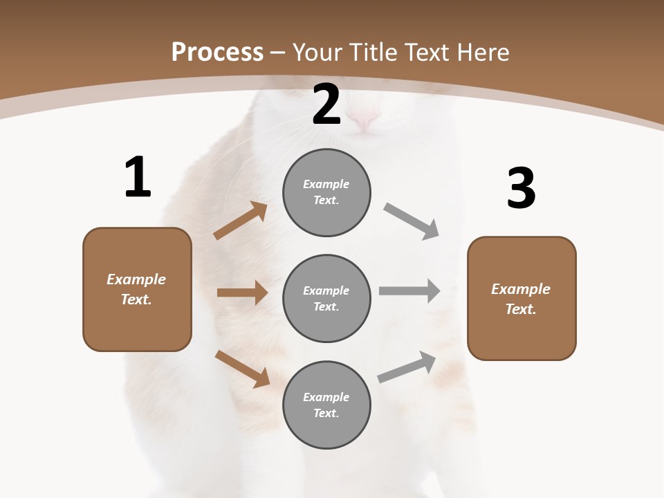 Fur Isolated Cat PowerPoint Template