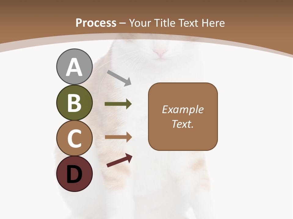 Fur Isolated Cat PowerPoint Template