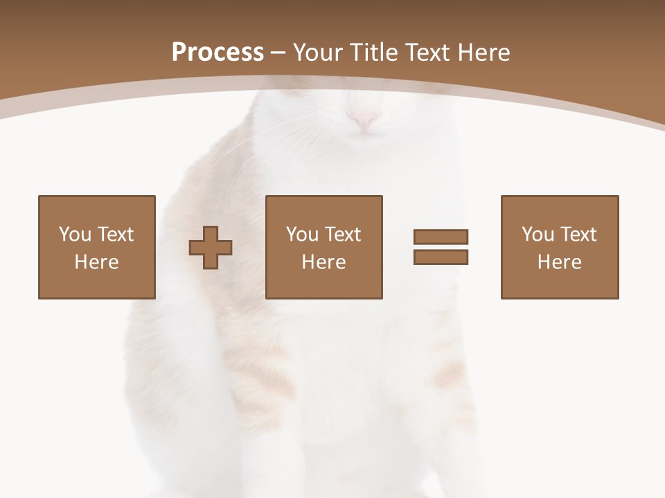 Fur Isolated Cat PowerPoint Template