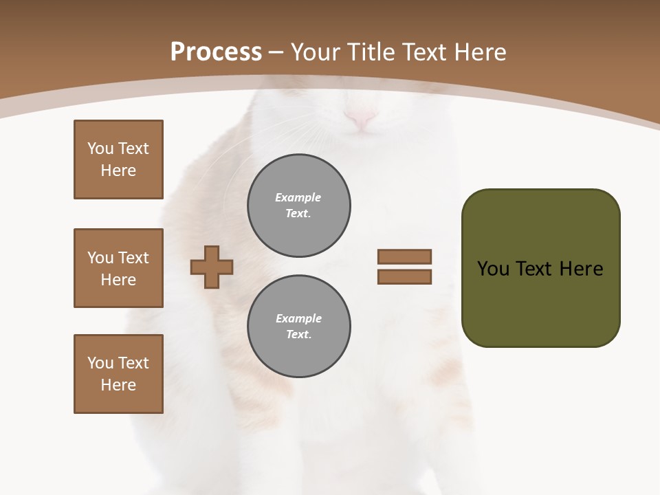 Fur Isolated Cat PowerPoint Template