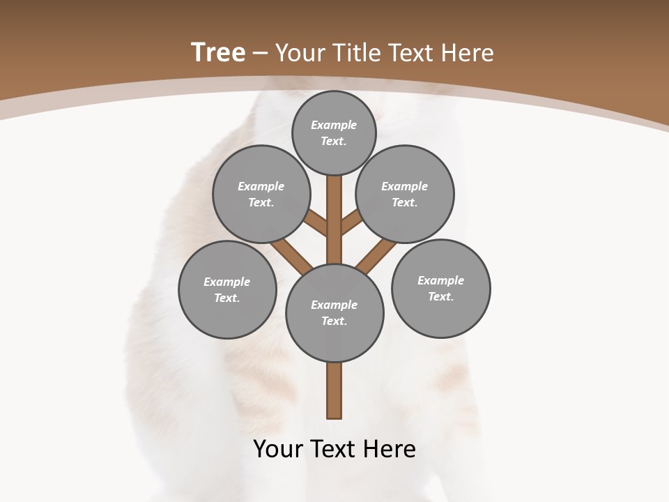 Fur Isolated Cat PowerPoint Template