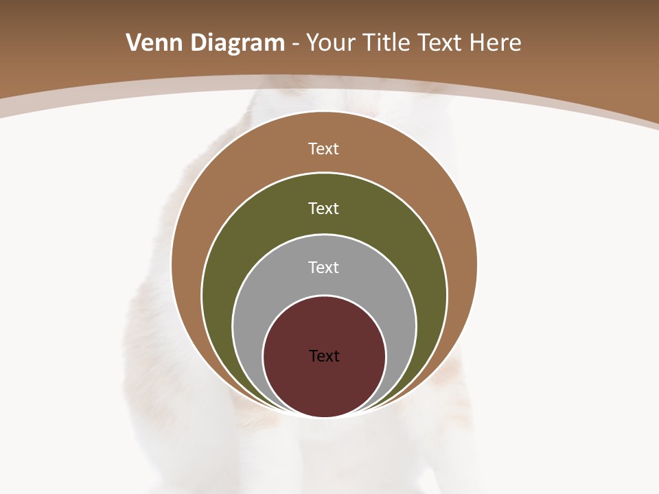 Fur Isolated Cat PowerPoint Template