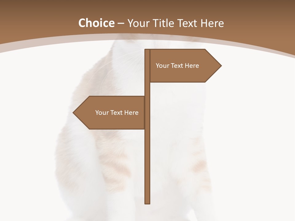 Fur Isolated Cat PowerPoint Template