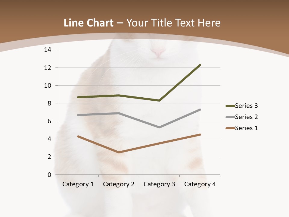 Fur Isolated Cat PowerPoint Template