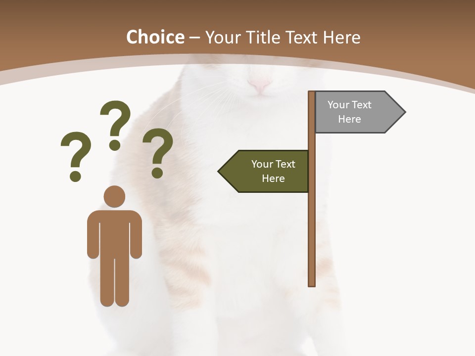 Fur Isolated Cat PowerPoint Template