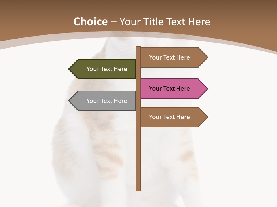 Fur Isolated Cat PowerPoint Template