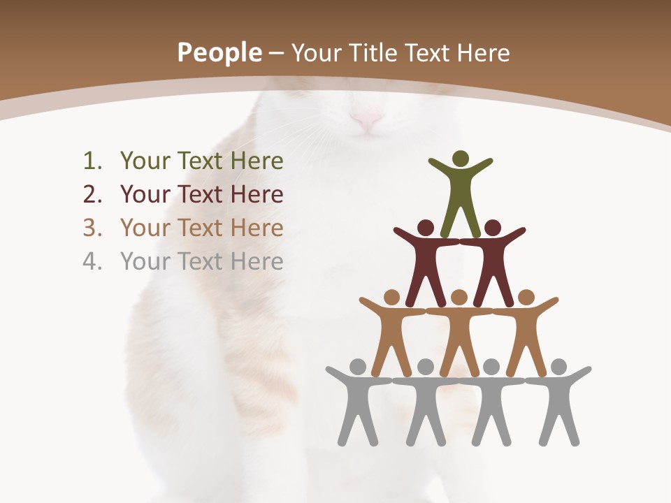 Fur Isolated Cat PowerPoint Template