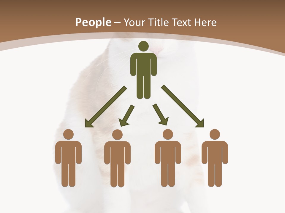 Fur Isolated Cat PowerPoint Template