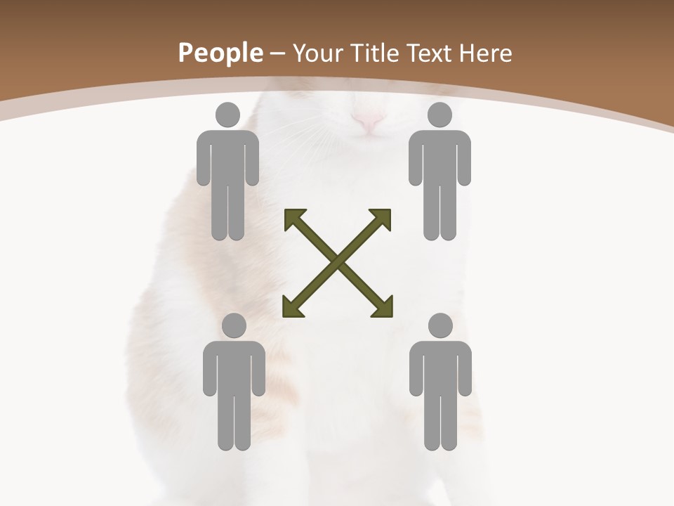 Fur Isolated Cat PowerPoint Template