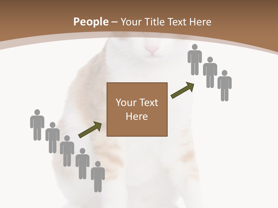 Fur Isolated Cat PowerPoint Template