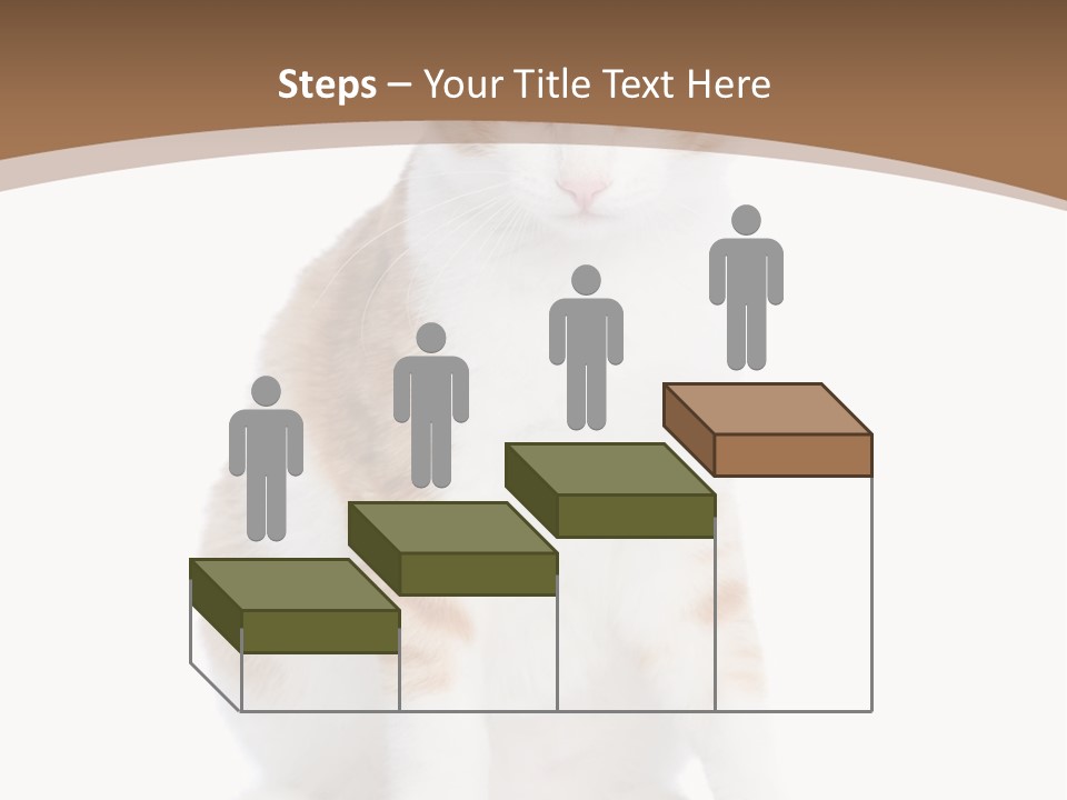 Fur Isolated Cat PowerPoint Template