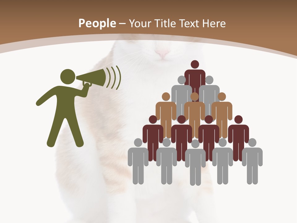 Fur Isolated Cat PowerPoint Template