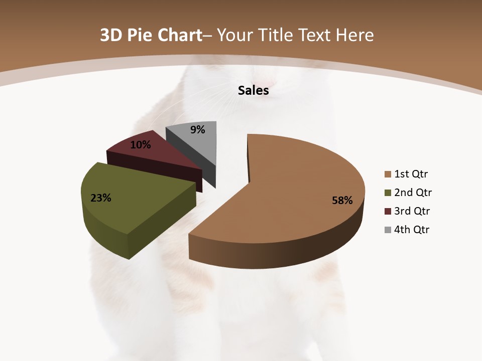Fur Isolated Cat PowerPoint Template