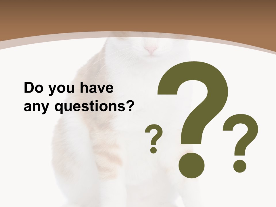 Fur Isolated Cat PowerPoint Template