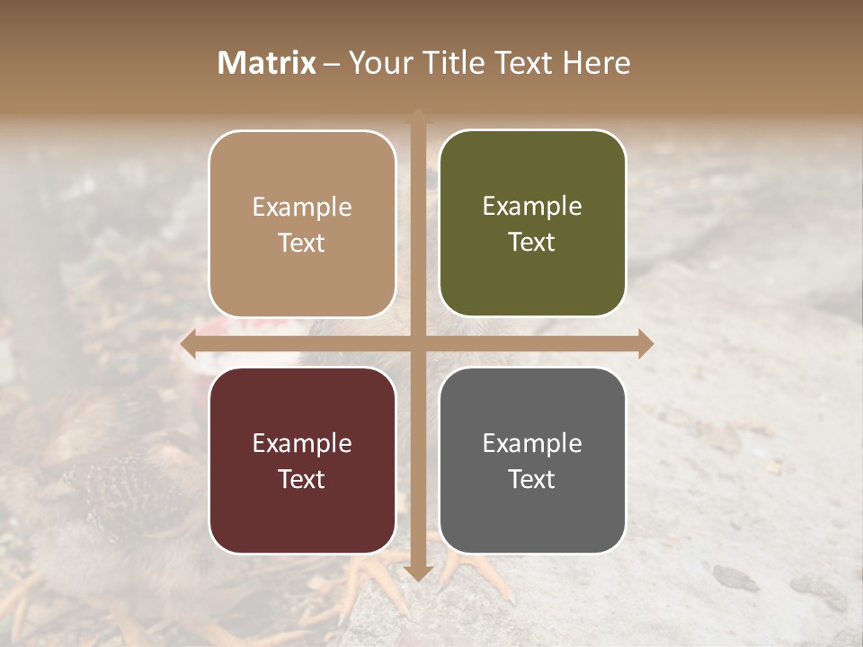 Clutter Chicken Asian PowerPoint Template