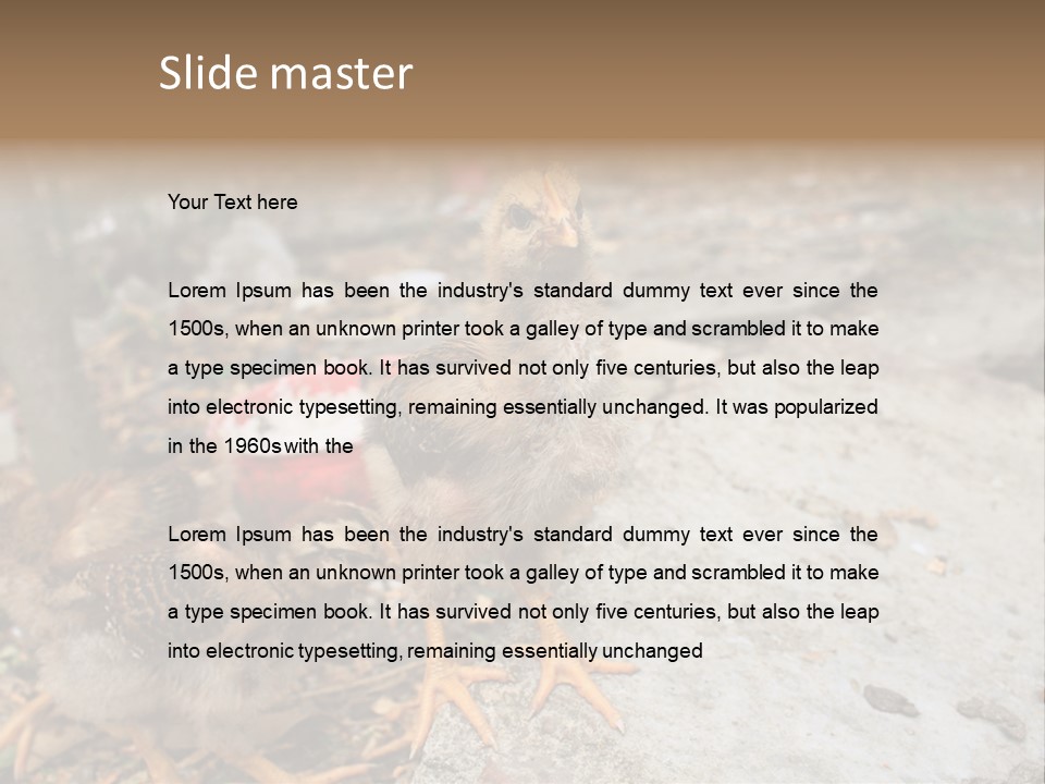 Clutter Chicken Asian PowerPoint Template