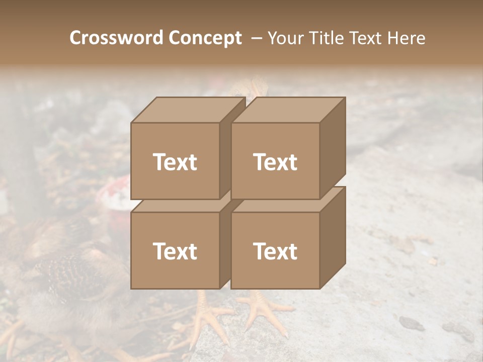 Clutter Chicken Asian PowerPoint Template