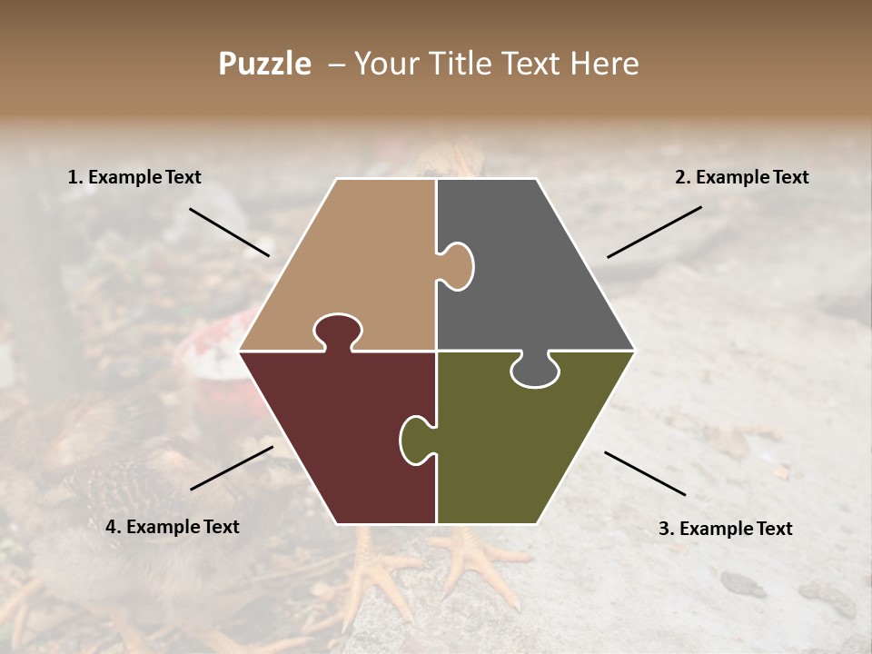 Clutter Chicken Asian PowerPoint Template