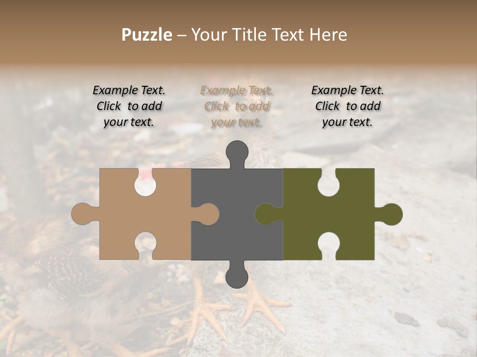 Clutter Chicken Asian PowerPoint Template