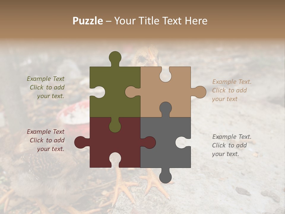 Clutter Chicken Asian PowerPoint Template