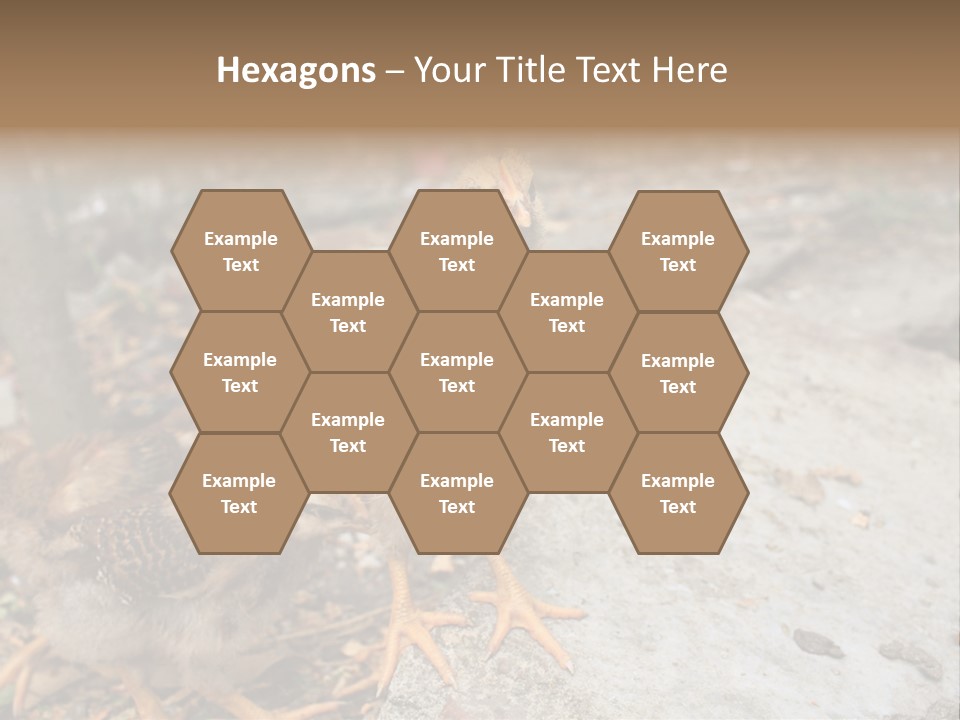 Clutter Chicken Asian PowerPoint Template