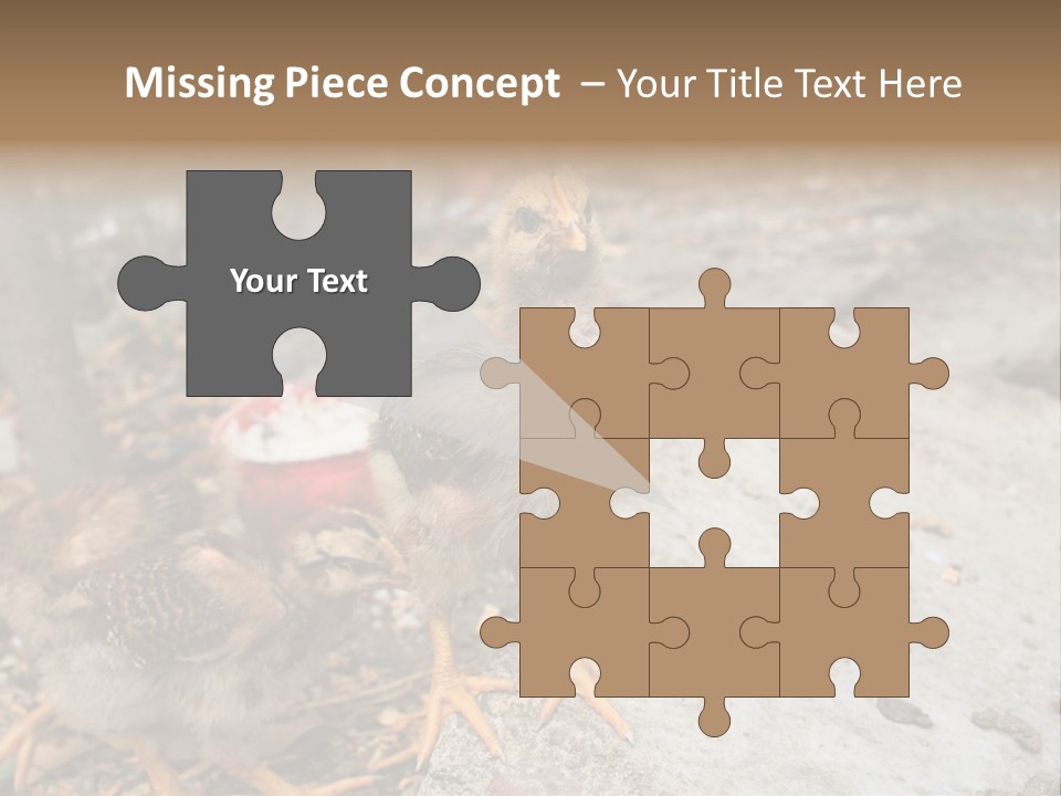 Clutter Chicken Asian PowerPoint Template