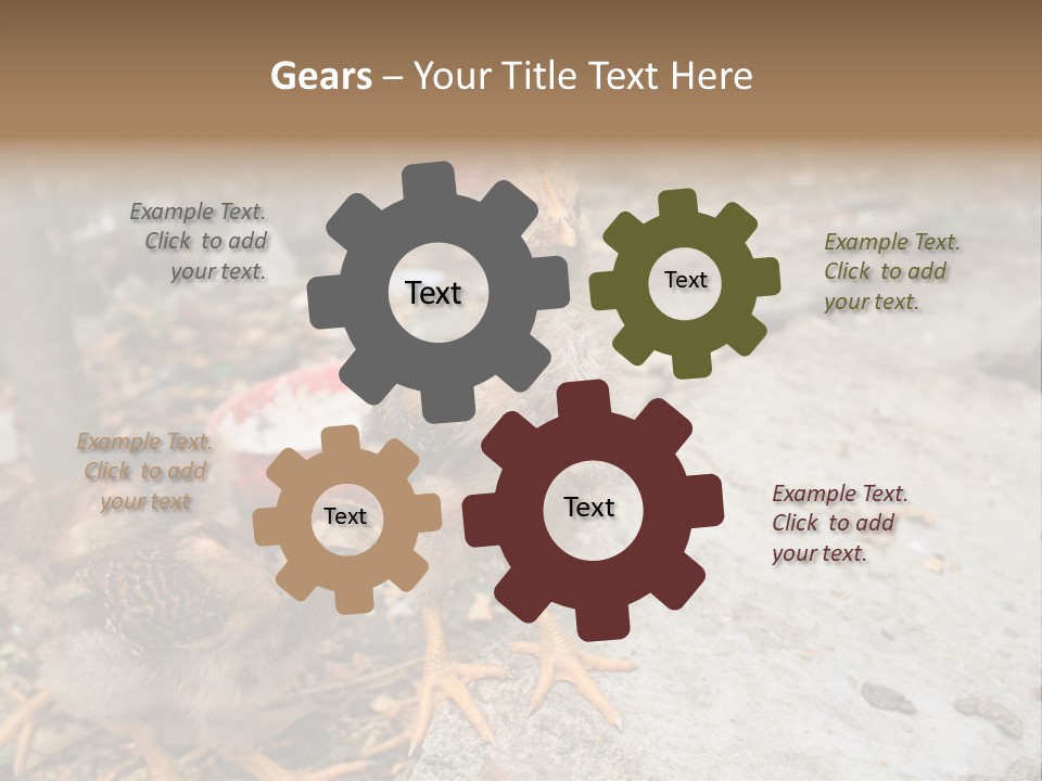 Clutter Chicken Asian PowerPoint Template