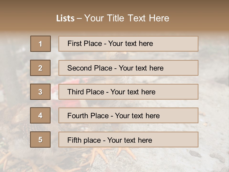 Clutter Chicken Asian PowerPoint Template