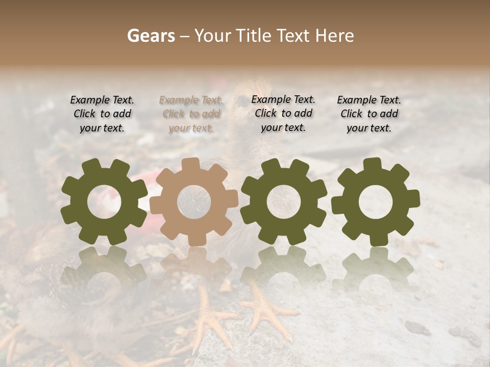 Clutter Chicken Asian PowerPoint Template