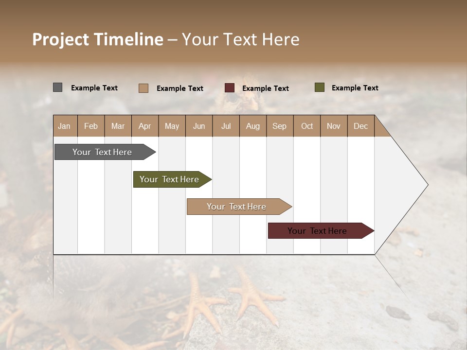 Clutter Chicken Asian PowerPoint Template