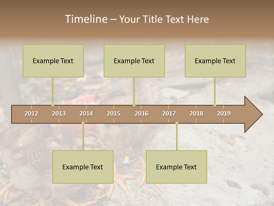 Clutter Chicken Asian PowerPoint Template