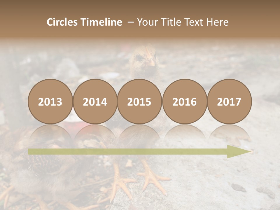 Clutter Chicken Asian PowerPoint Template