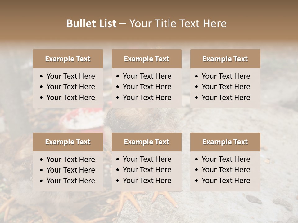 Clutter Chicken Asian PowerPoint Template