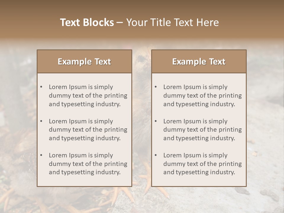 Clutter Chicken Asian PowerPoint Template