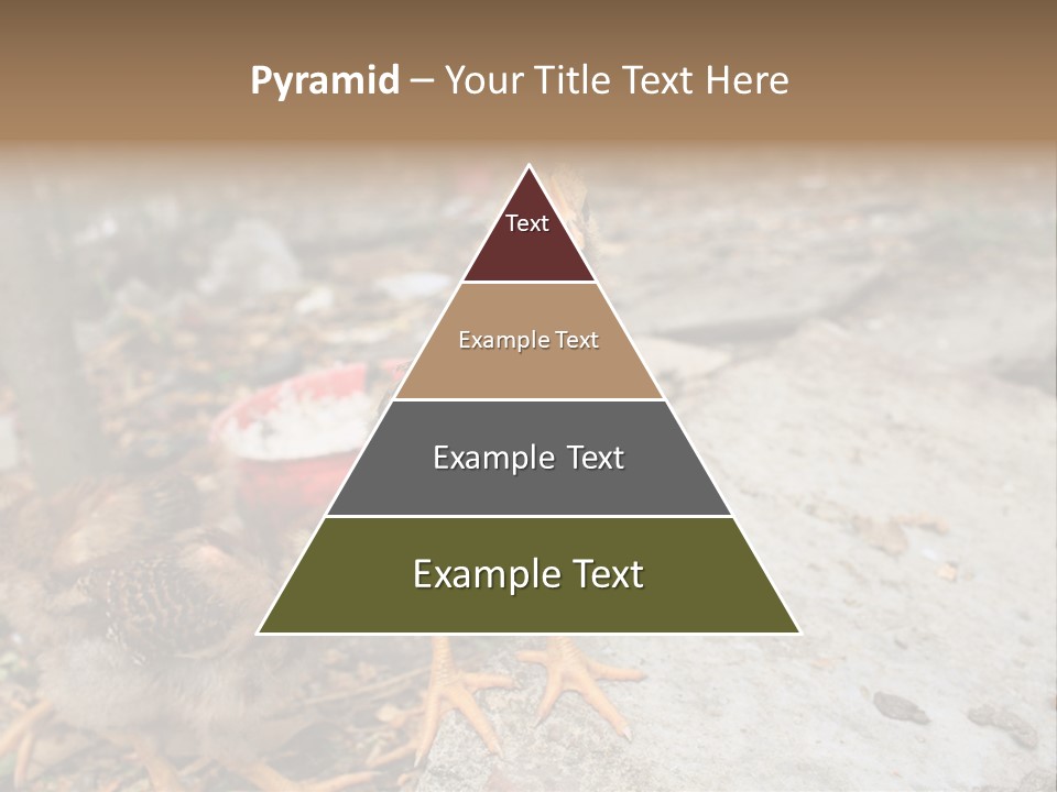 Clutter Chicken Asian PowerPoint Template