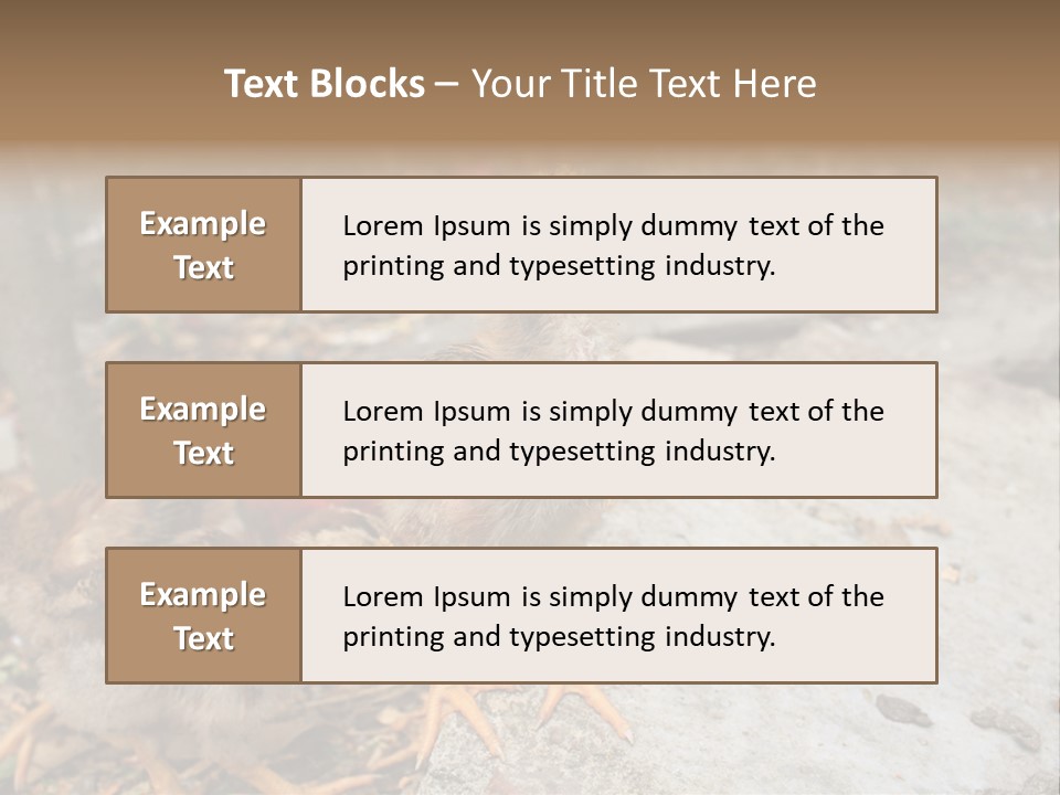 Clutter Chicken Asian PowerPoint Template