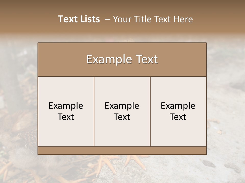 Clutter Chicken Asian PowerPoint Template