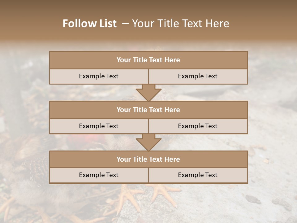 Clutter Chicken Asian PowerPoint Template