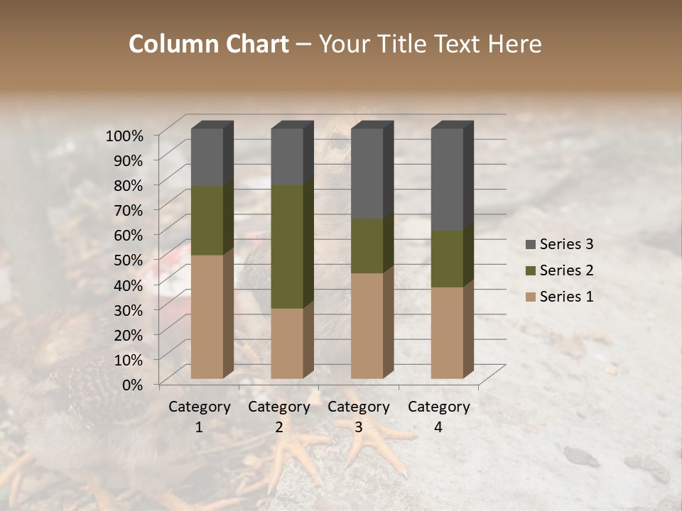 Clutter Chicken Asian PowerPoint Template