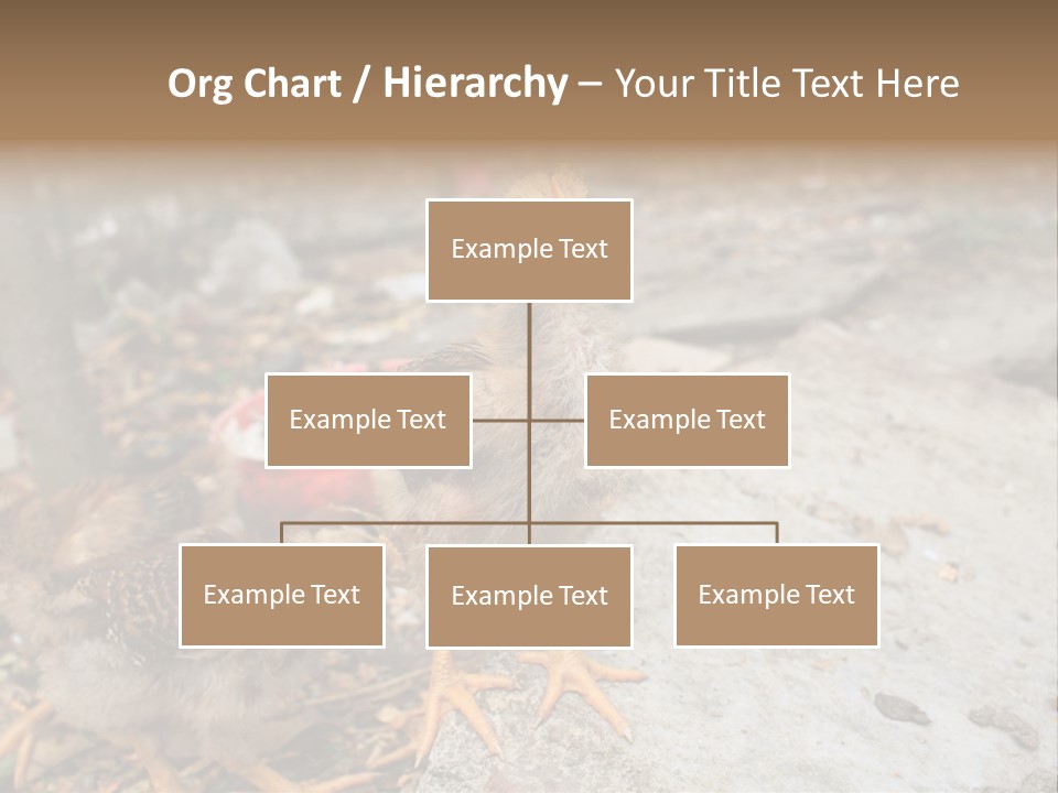 Clutter Chicken Asian PowerPoint Template