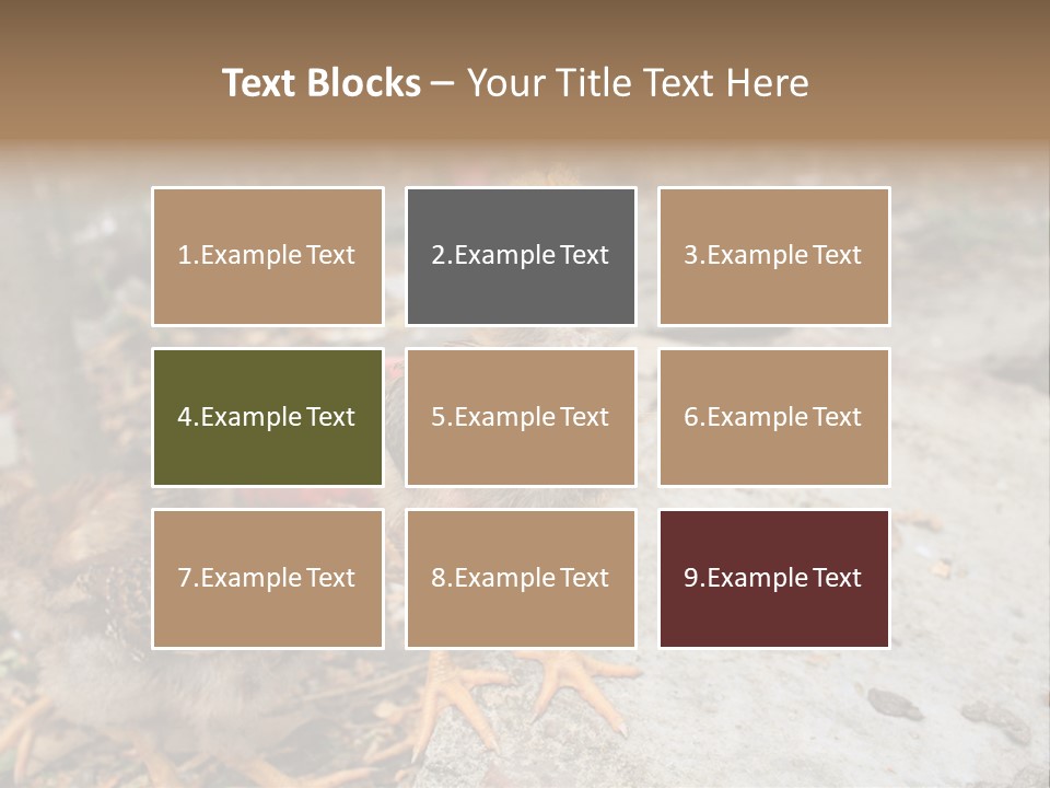 Clutter Chicken Asian PowerPoint Template