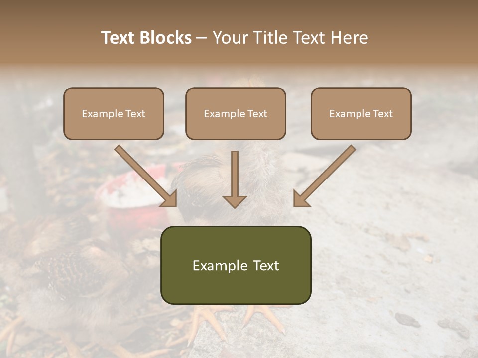 Clutter Chicken Asian PowerPoint Template