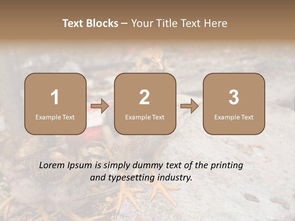 Clutter Chicken Asian PowerPoint Template