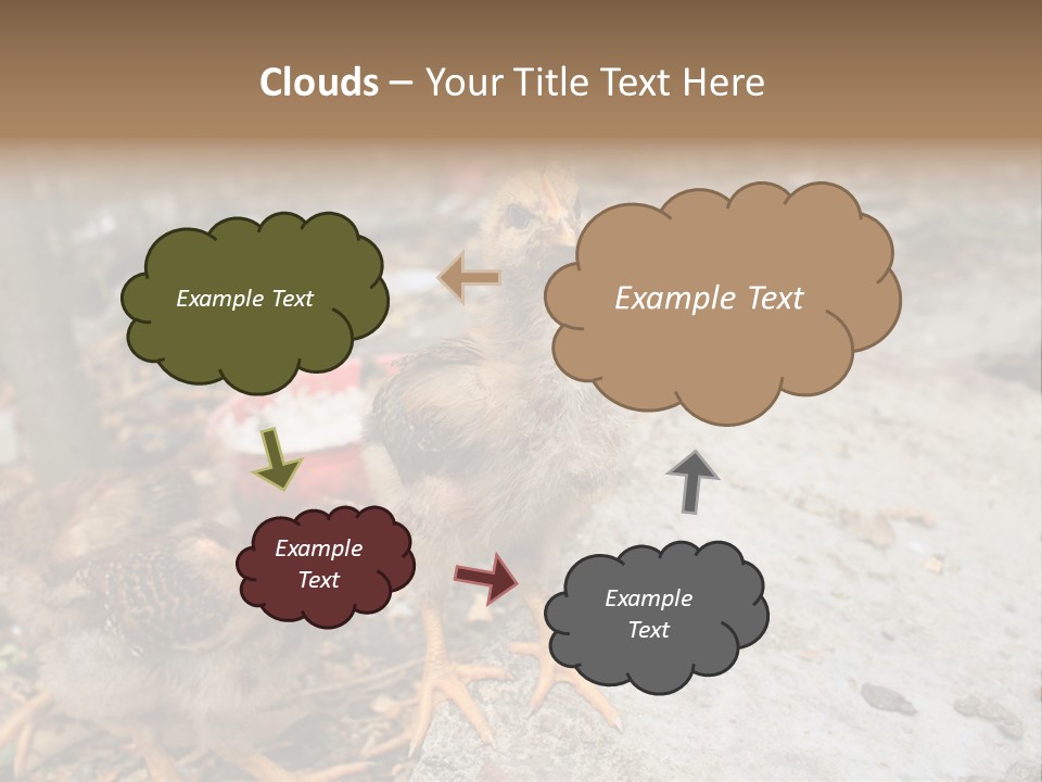 Clutter Chicken Asian PowerPoint Template