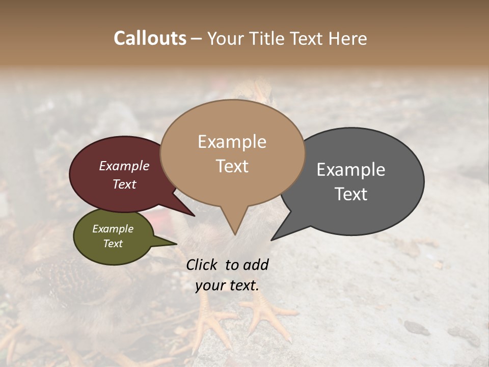 Clutter Chicken Asian PowerPoint Template