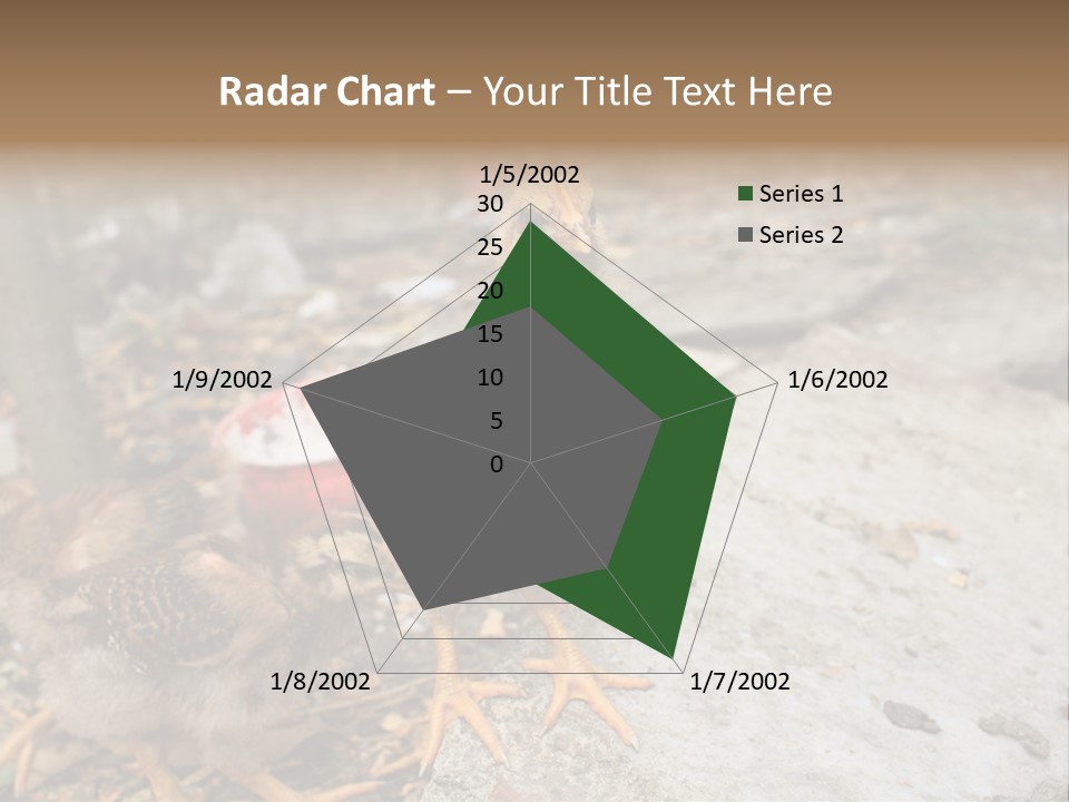 Clutter Chicken Asian PowerPoint Template